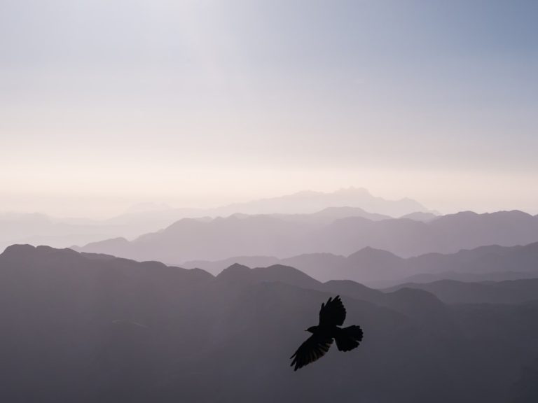 The Thrill of Eco-Friendly Adventure: Exploring Nature Responsibly